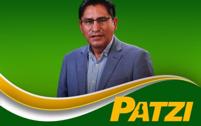 Biografía de Felix Patzi