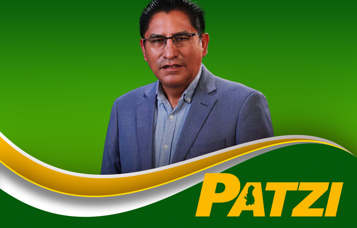 Biografía de Felix Patzi